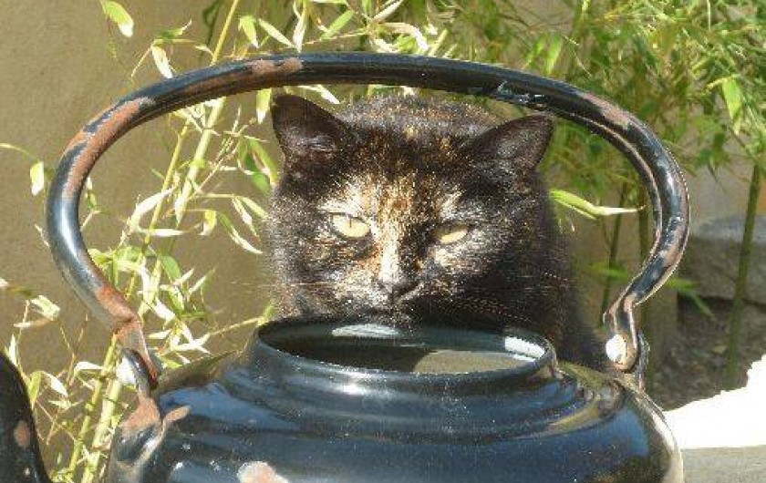Location de vacances - Gîte à Saint-Paul-le-Jeune