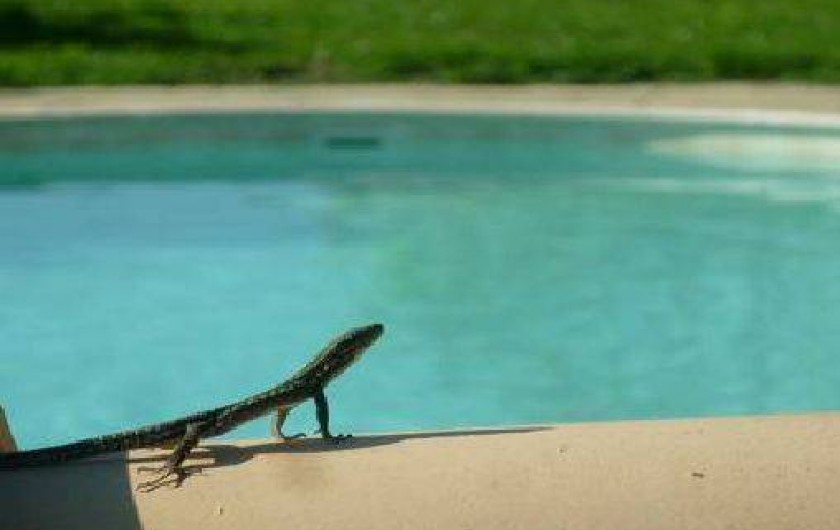 Location de vacances - Gîte à Saint-Paul-le-Jeune