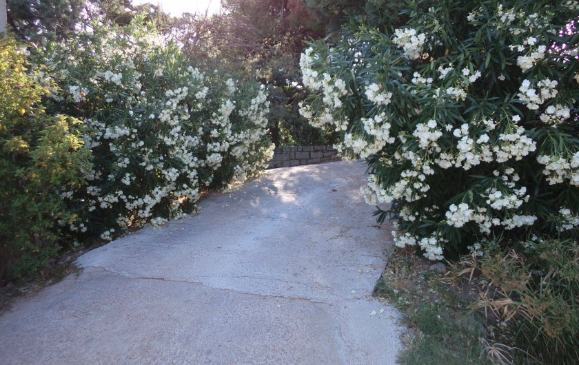 Location de vacances - Appartement à Porto-Vecchio - ENTREE