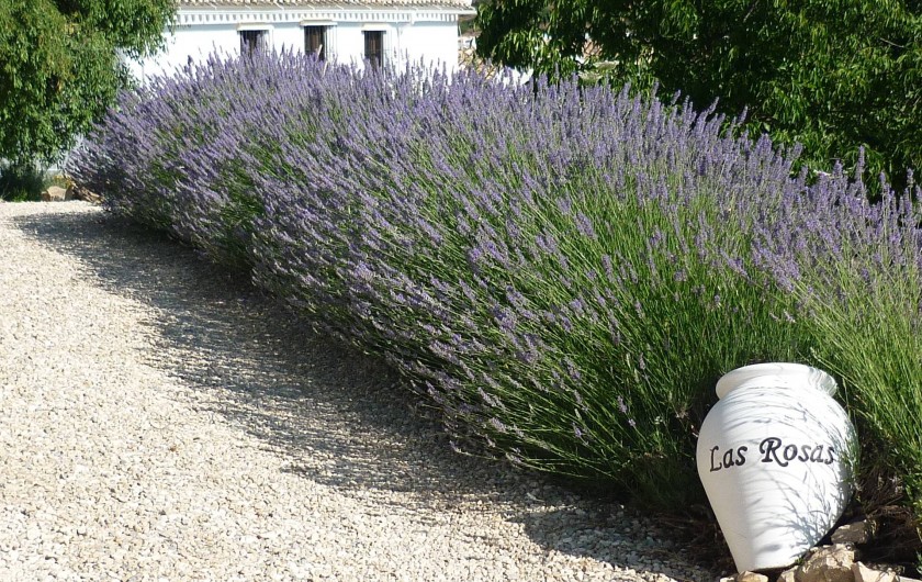 Location de vacances - Gîte à Fuentes de Cesna - L'entrée de Cortijo las Rosas