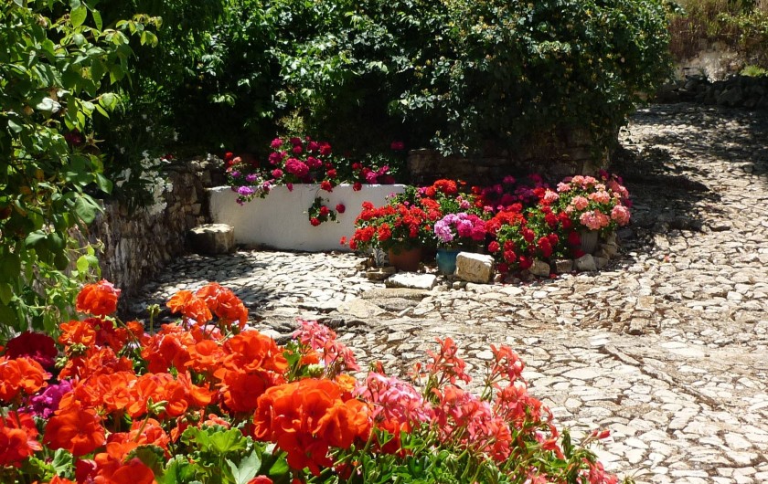 Location de vacances - Gîte à Fuentes de Cesna - Le jardin communal