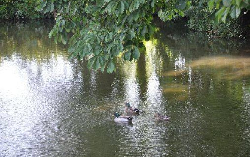 Location de vacances - Gîte à Raids