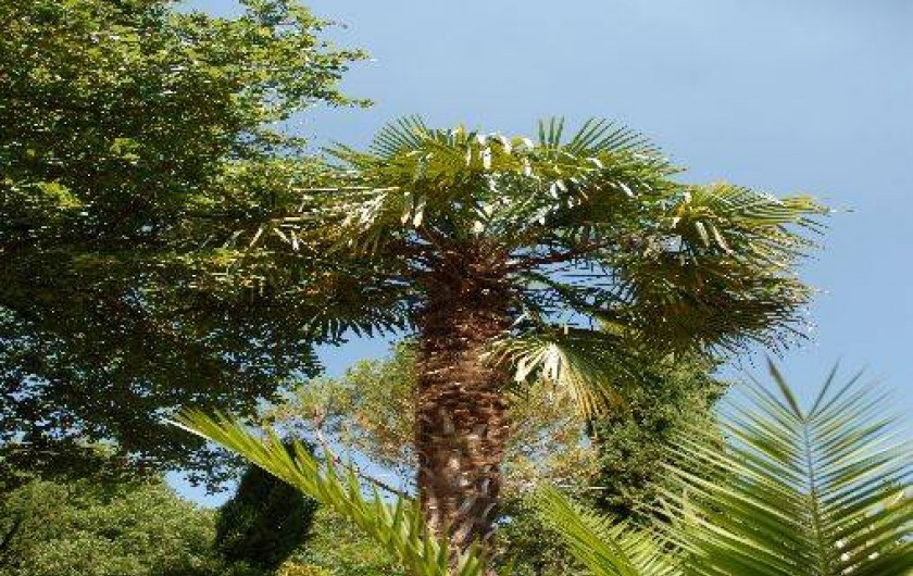 Location de vacances - Gîte à Castanet