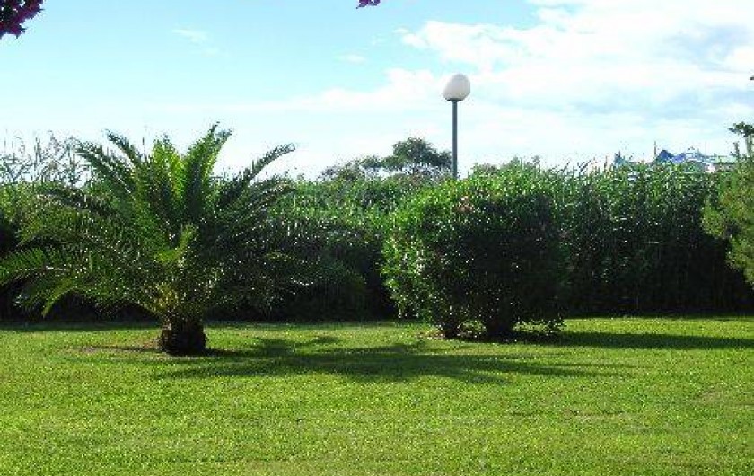 Location de vacances - Appartement à Ghisonaccia