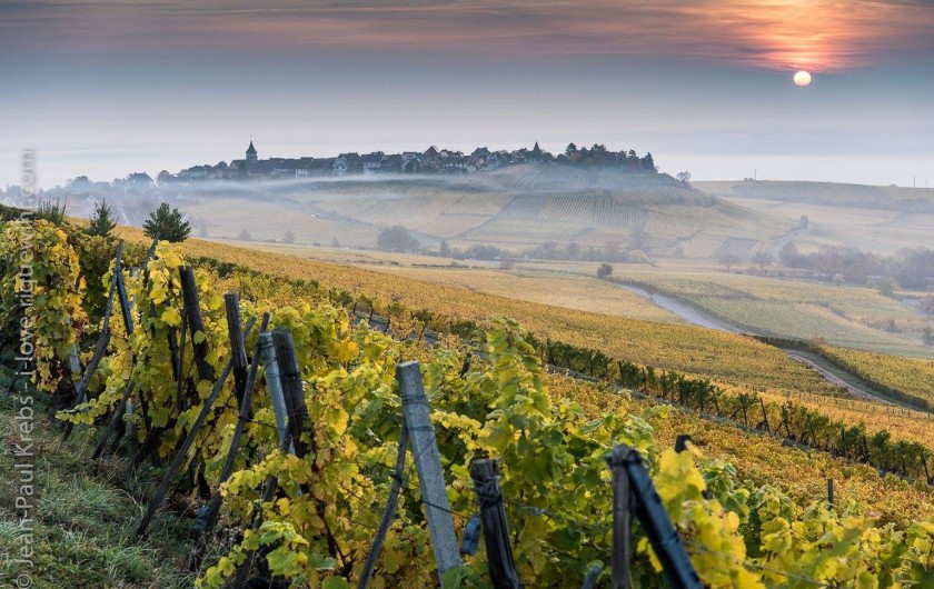 Location de vacances - Gîte à Hunawihr