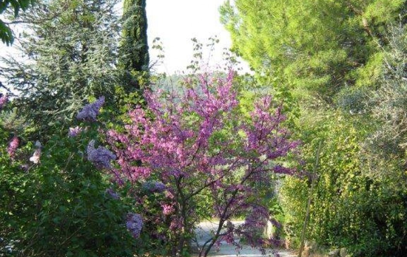 Location de vacances - Villa à Cotignac