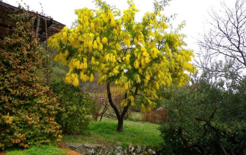 Location de vacances - Villa à Cotignac