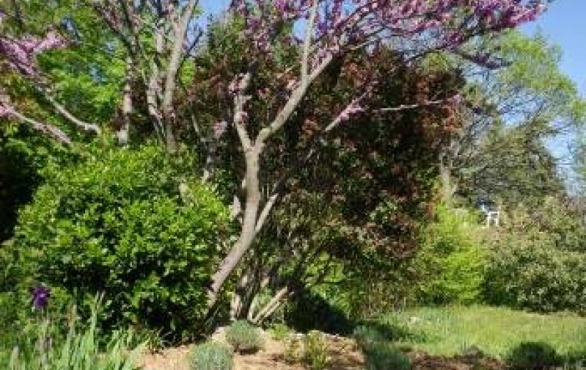 Location de vacances - Villa à Cotignac