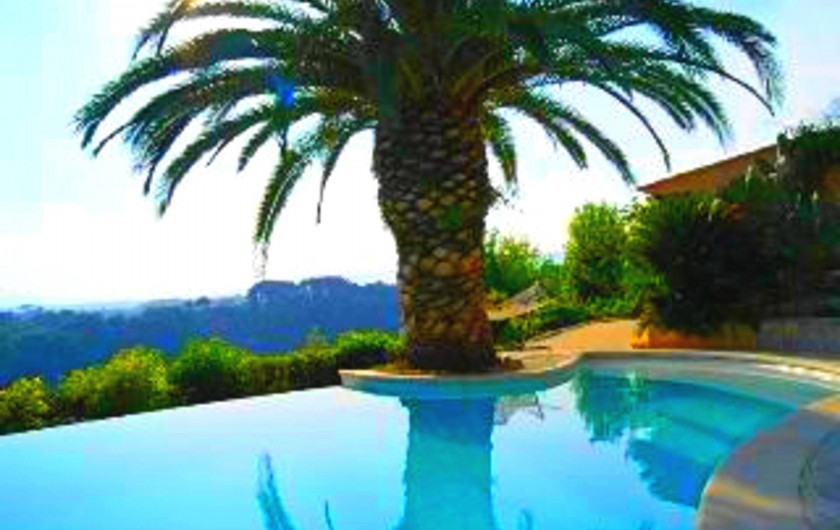 Location de vacances - Studio à Cagnes-sur-Mer - Vue piscine à côté du studio Francy