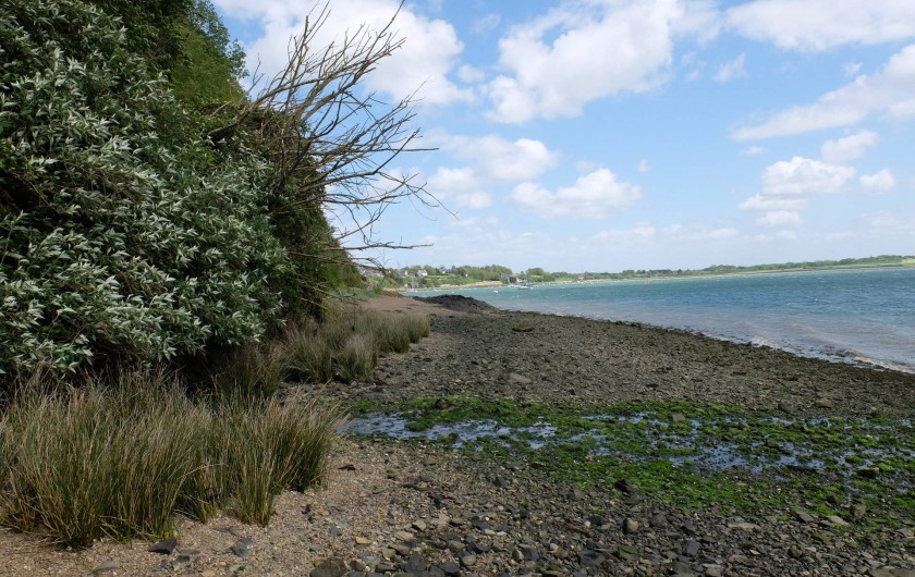 Location de vacances - Chalet à Plouër-sur-Rance - La mer (la rance ) a marée basse en bas de la maison