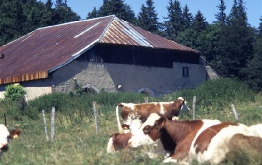 Location de vacances - Gîte à Chapelle-des-Bois