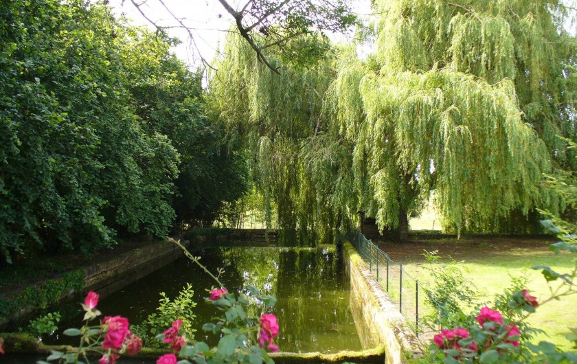 Location de vacances - Chambre d'hôtes à Cubnezais - Jardin
