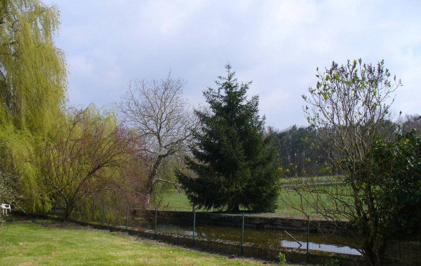Location de vacances - Chambre d'hôtes à Cubnezais - Jardin
