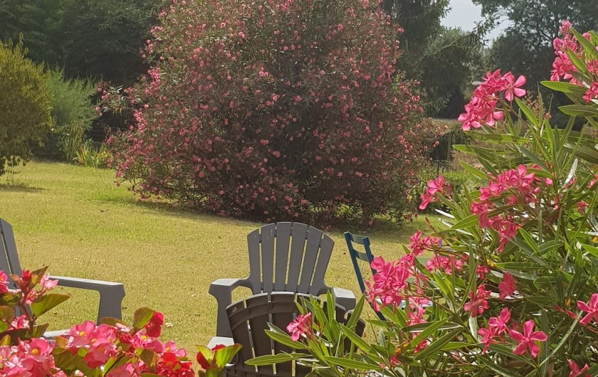 Location de vacances - Chambre d'hôtes à Cubnezais - Jardin