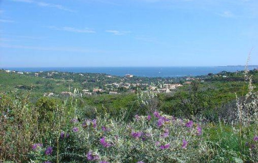 Location de vacances - Appartement à Les Issambres