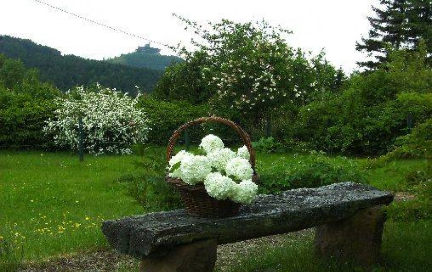 Location de vacances - Maison - Villa à Dabo