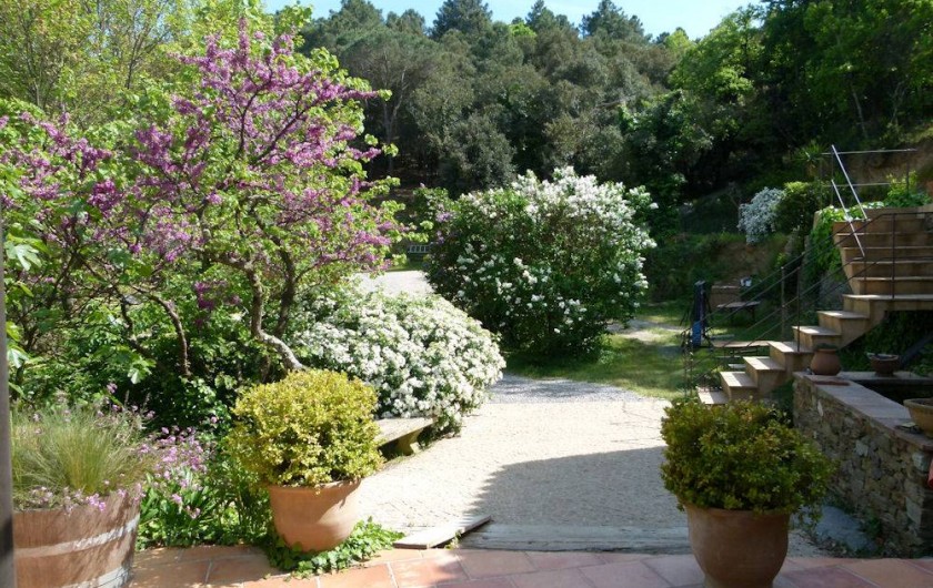 Location de vacances - Chambre d'hôtes à La Garde-Freinet