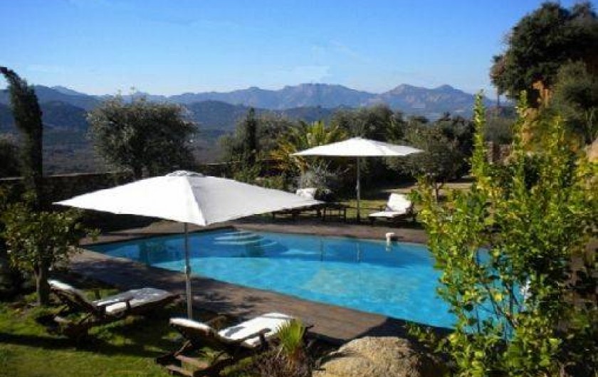 Location de vacances - Maison - Villa à Calvi - Piscine chauffée