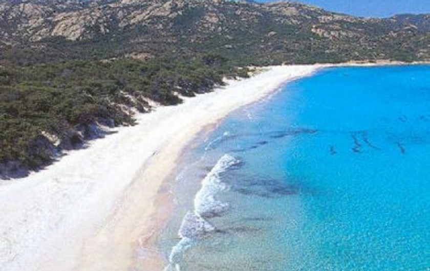 Location de vacances - Maison - Villa à Calvi