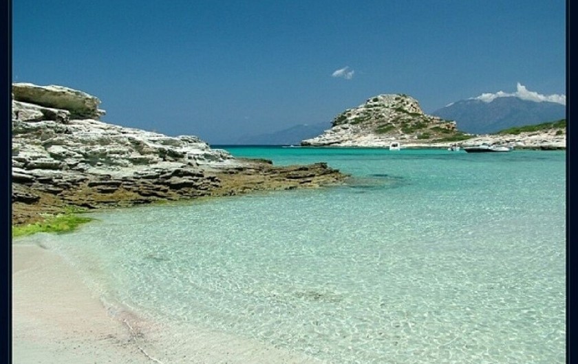 Location de vacances - Maison - Villa à Calvi