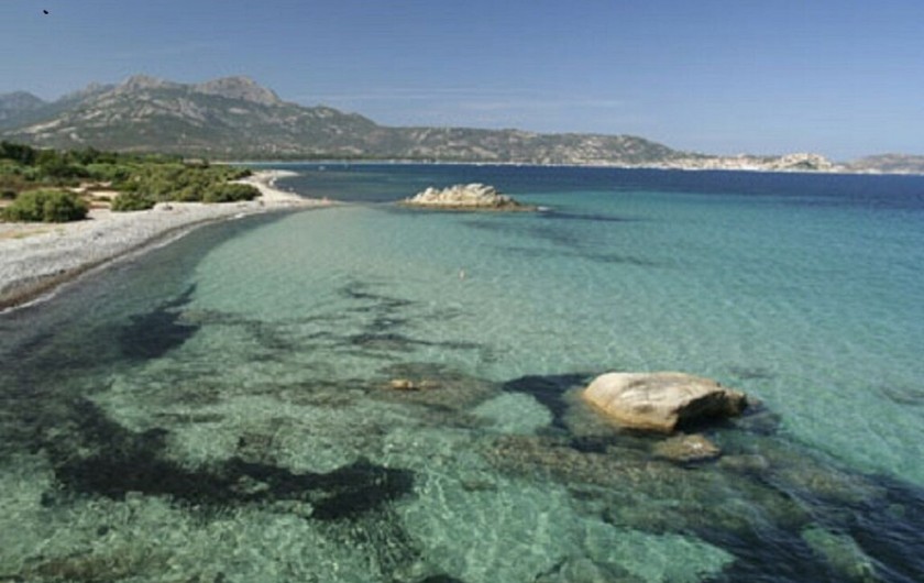 Location de vacances - Maison - Villa à Calvi