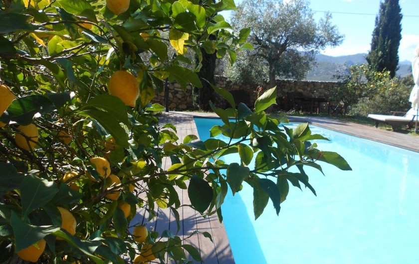 Location de vacances - Maison - Villa à Calvi