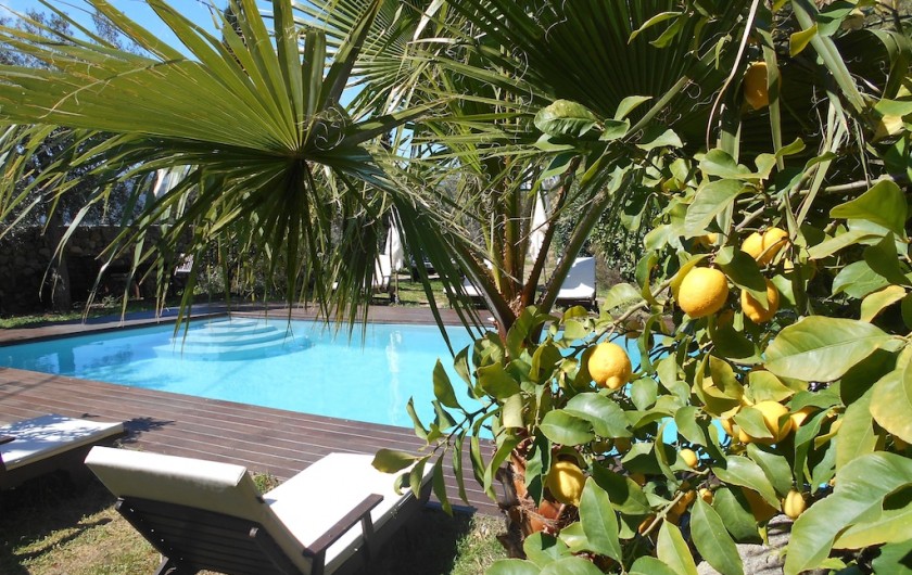 Location de vacances - Maison - Villa à Calvi