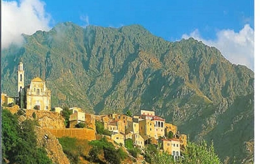 Location de vacances - Maison - Villa à Calvi - Vue de la terrasse