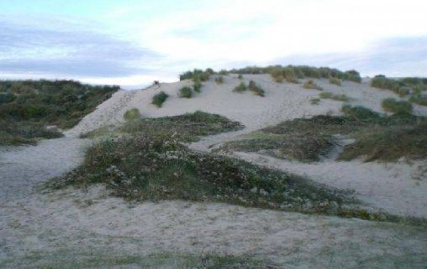 Location de vacances - Appartement à Cayeux-sur-Mer