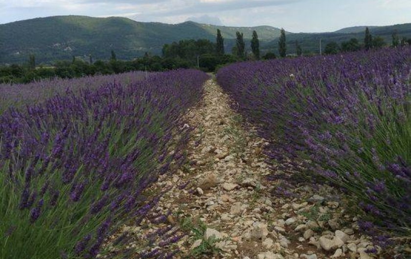 Location de vacances - Villa à Maubec