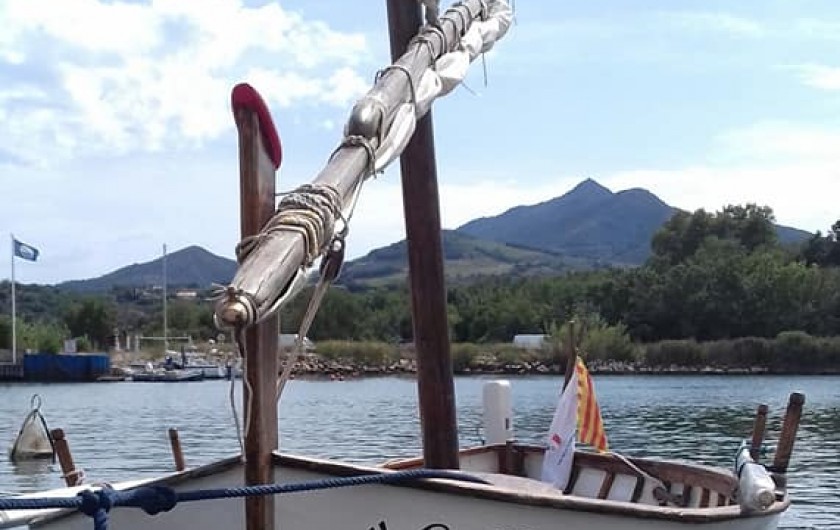 Location de vacances - Hôtel - Auberge à Argelès-sur-Mer