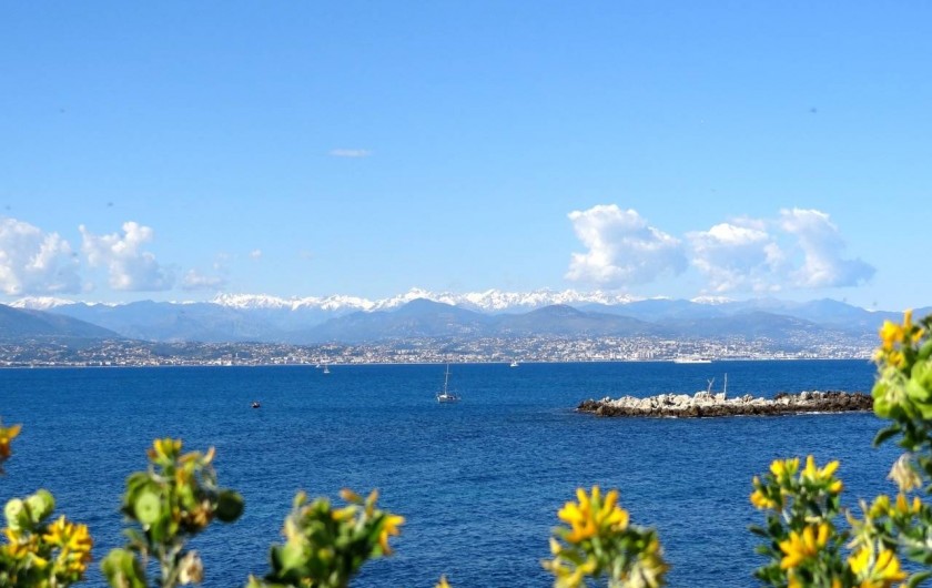 Location de vacances - Appartement à Antibes