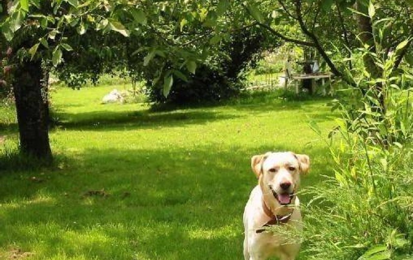 Location de vacances - Appartement à Bagnac-sur-Célé - Jardin