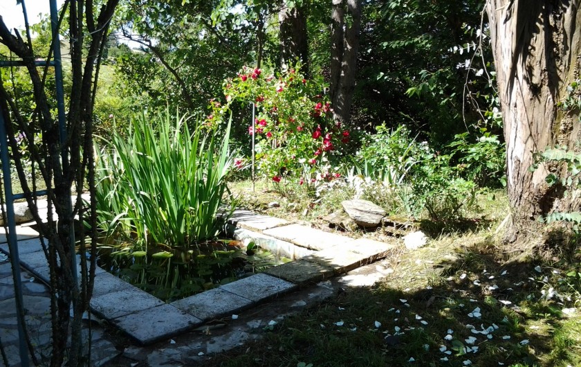 Location de vacances - Appartement à Bagnac-sur-Célé - Le bassin côté ouest