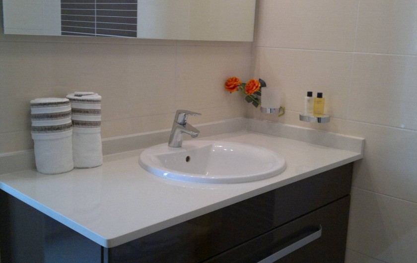 Location de vacances - Maison - Villa à Les Trois-Îlets - salle de bain 2