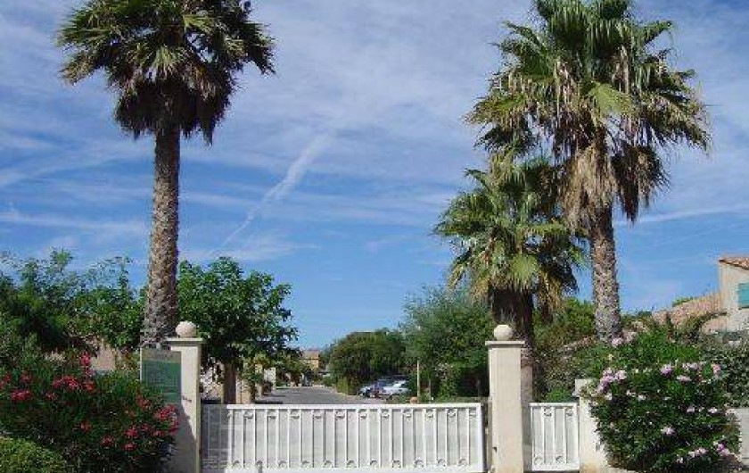 Location de vacances - Mas à Le Lavandou