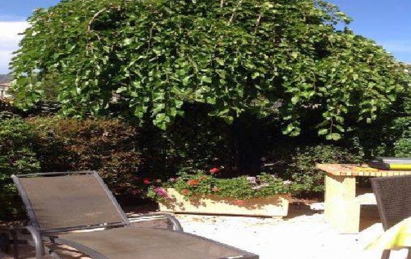 Location de vacances - Mas à Le Lavandou