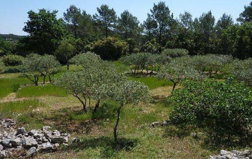 Location de vacances - Mas à Cotignac