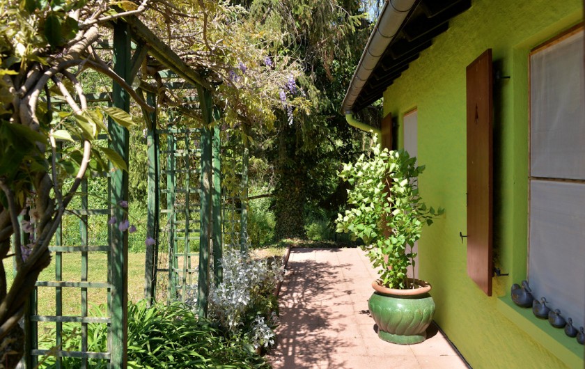 Location de vacances - Gîte à Bergheim