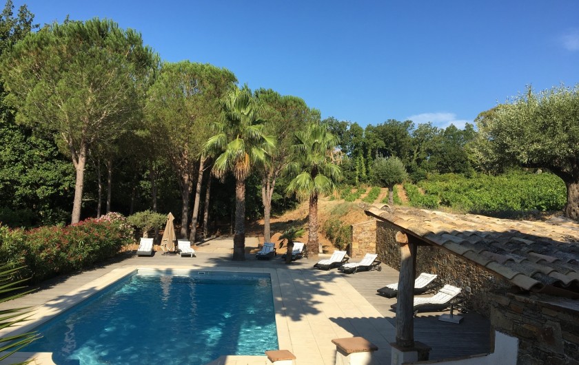 Location de vacances - Villa à Grimaud - piscine vue de la terrasse panoramique
