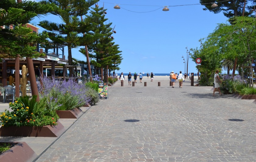 Location de vacances - Appartement à Argelès-sur-Mer - rue piétonne