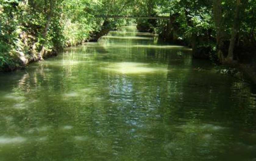 Location de vacances - Chambre d'hôtes à Bouillé-Courdault