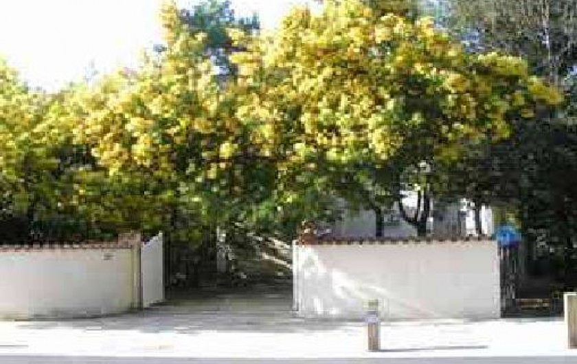 Location de vacances - Villa à Le Grand-Village-Plage