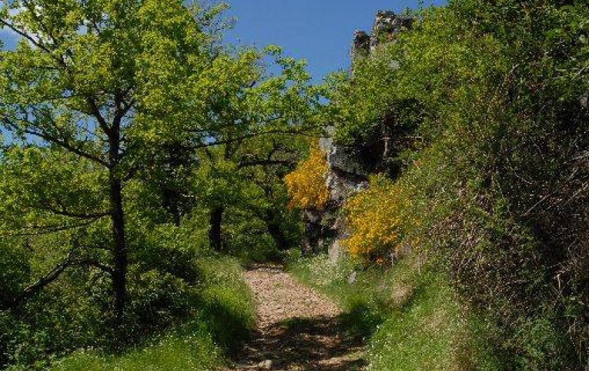 Location de vacances - Gîte à Moyrazès