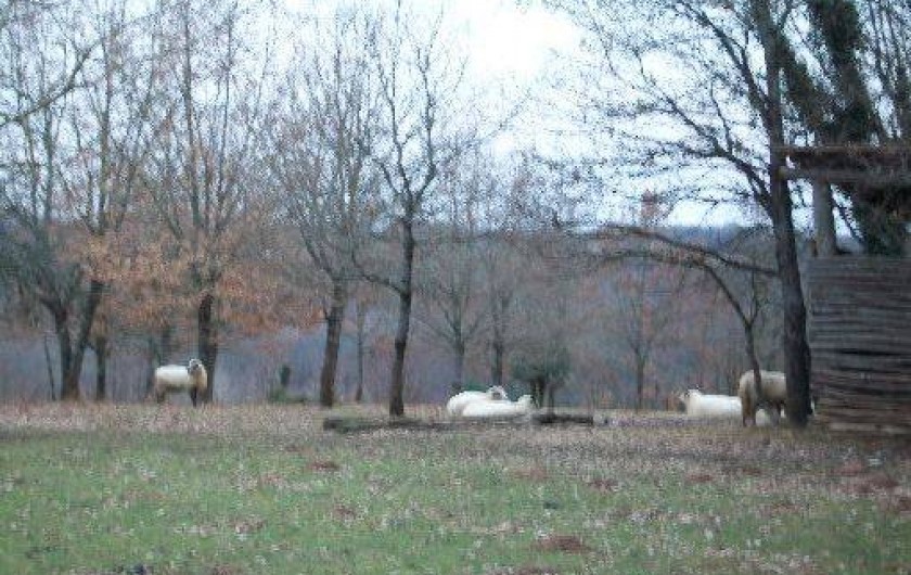 Location de vacances - Gîte à Uzech