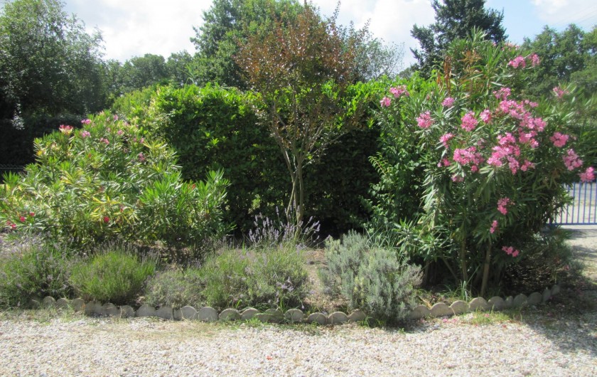 Location de vacances - Villa à Soulac-sur-Mer - Massif