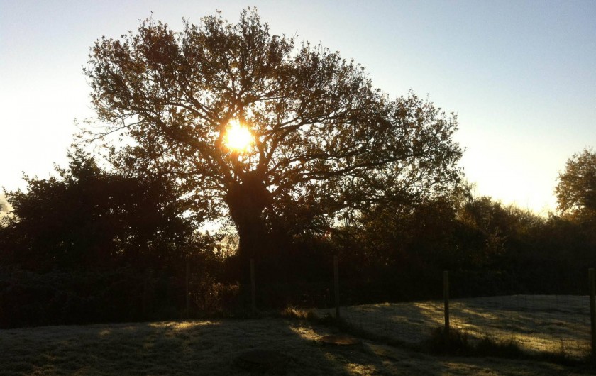 Location de vacances - Maison - Villa à Nivillac - Une matinée d'hiver à La Belle Vilaine.