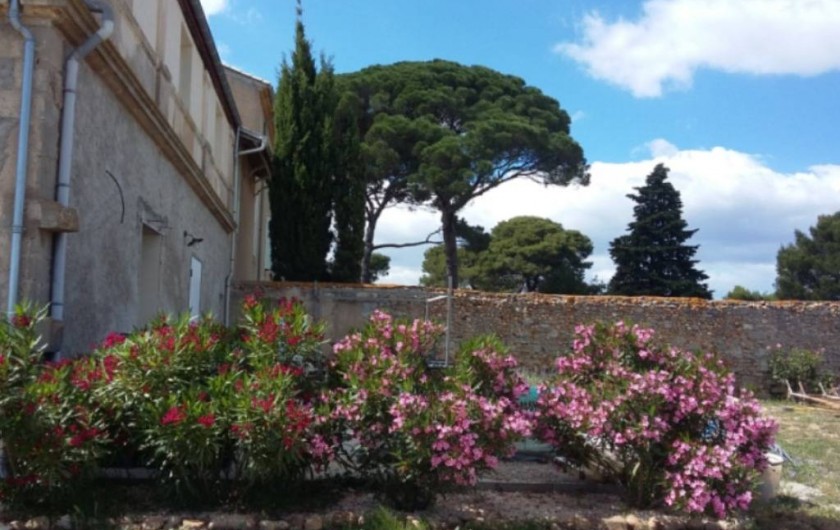 Location de vacances - Mas à Vendres