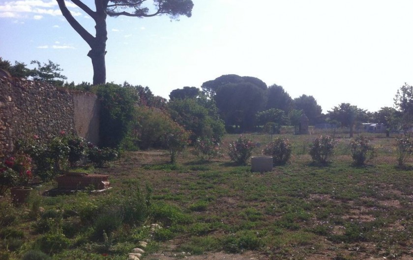 Location de vacances - Mas à Vendres