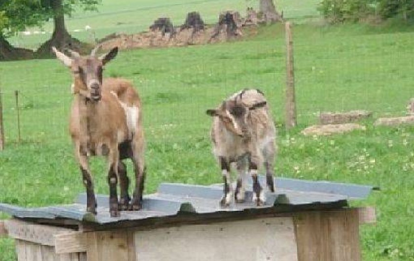 Location de vacances - Gîte à Vibeuf